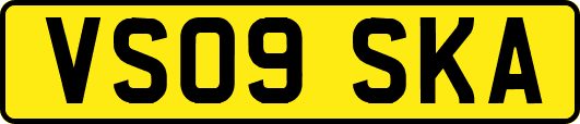 VS09SKA
