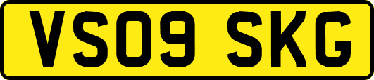 VS09SKG