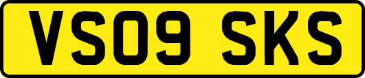 VS09SKS