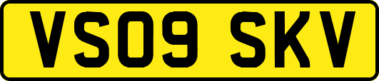 VS09SKV