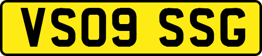 VS09SSG