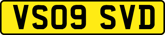 VS09SVD