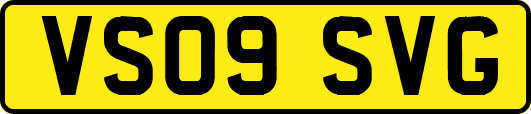 VS09SVG