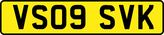 VS09SVK