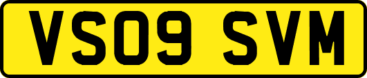 VS09SVM