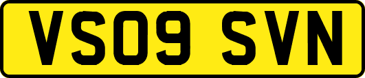 VS09SVN
