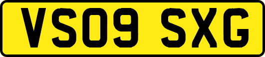 VS09SXG