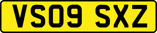 VS09SXZ