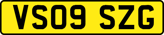 VS09SZG