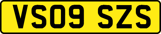 VS09SZS