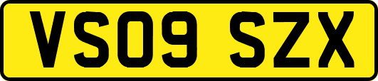 VS09SZX