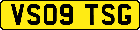 VS09TSG
