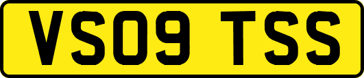 VS09TSS