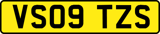 VS09TZS