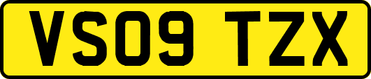 VS09TZX