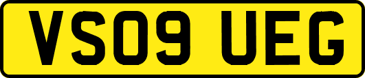 VS09UEG