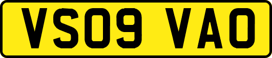 VS09VAO