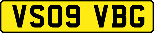 VS09VBG