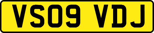 VS09VDJ