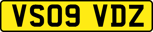 VS09VDZ