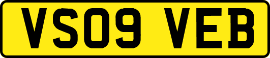VS09VEB
