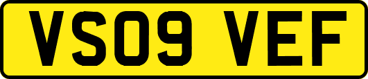 VS09VEF