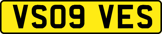 VS09VES