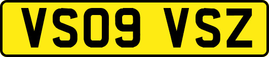 VS09VSZ