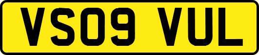 VS09VUL