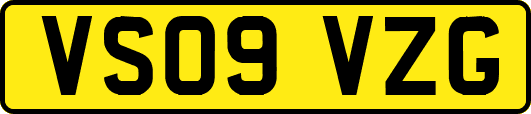 VS09VZG