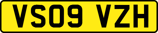 VS09VZH
