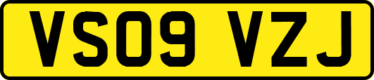 VS09VZJ