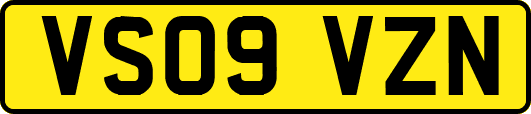 VS09VZN