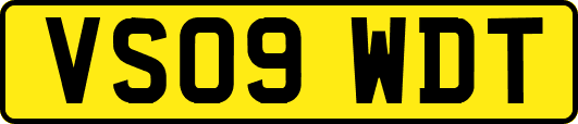 VS09WDT