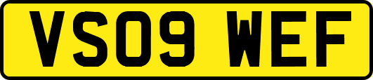 VS09WEF