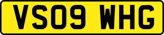 VS09WHG