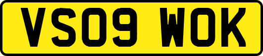 VS09WOK