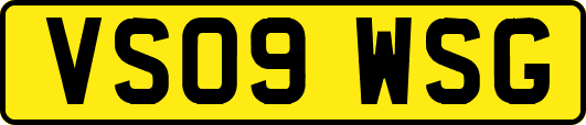VS09WSG