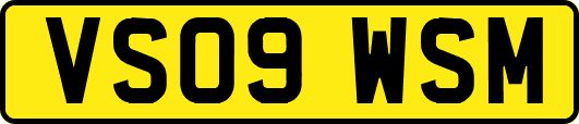 VS09WSM