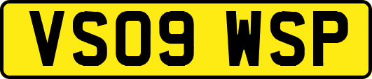 VS09WSP