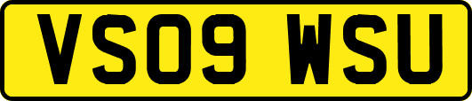 VS09WSU