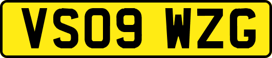 VS09WZG