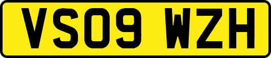 VS09WZH