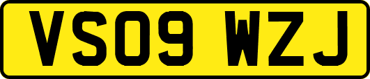VS09WZJ