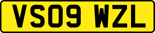 VS09WZL