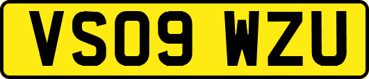 VS09WZU