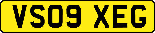 VS09XEG