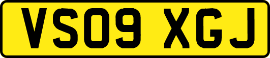 VS09XGJ