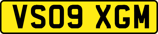 VS09XGM