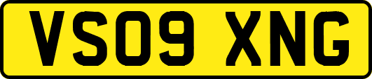 VS09XNG